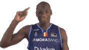 Liga Endesa Basketball Sticker by ACB