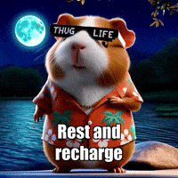 GIF by Guinea Gambino