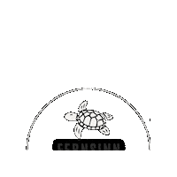 Fernsinn Welt Sticker by Fernsinn Welt - ReiseBeratung Anja Horn