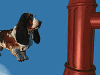 Dog GIF by Martin Onassis