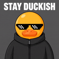 duel_duck duck duel duelduck duel duck GIF