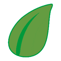 plant leaf Sticker by Tok&Stok