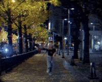 Merry Christmas Lily GIF