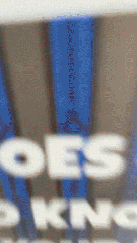 Gamer Fivenightsatfreddys GIF by Youtooz