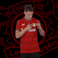 Logo Love GIF by Bayer 04 Leverkusen