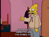 homer simpson GIF