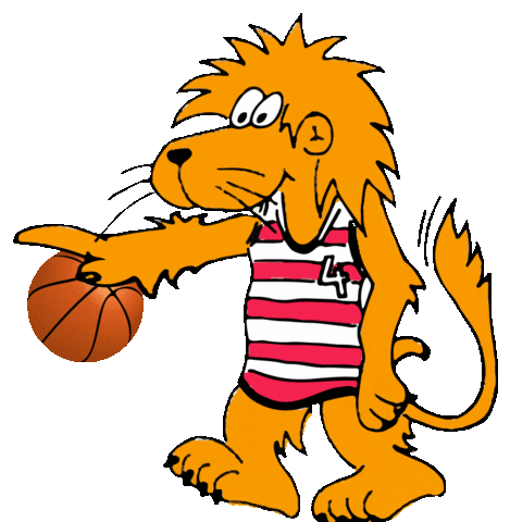 HBV_Basketball giphyupload basketball hessen loewe Sticker