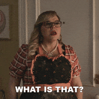 Season 17 What GIF by Paramount+