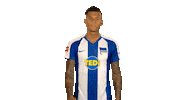Hertha Bsc Yes Sticker by Bundesliga