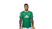 Davie Selke Sticker Sticker by SV Werder Bremen