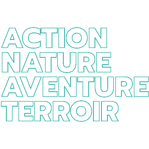 Pyreneance giphyupload nature snow action Sticker