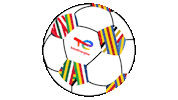 TotalEnergiesDZ football foot chan ballon Sticker