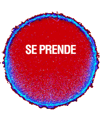 Futbol Cerveza Sticker by Pilsen Paraguay