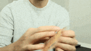 money cash GIF by Popkorn