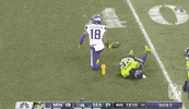Regular Season Football GIF by NFL