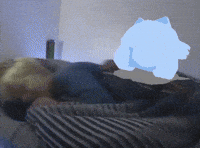 Cat Shaking GIF by sillynub