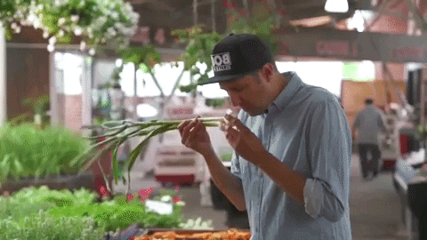 green onions montreal GIF by Bob aux Halles