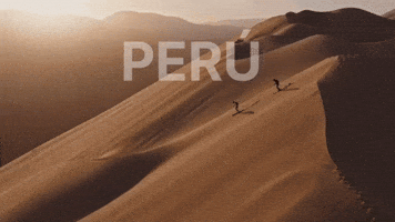 South America World GIF