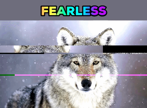 giphygifmaker wolf fearless GIF