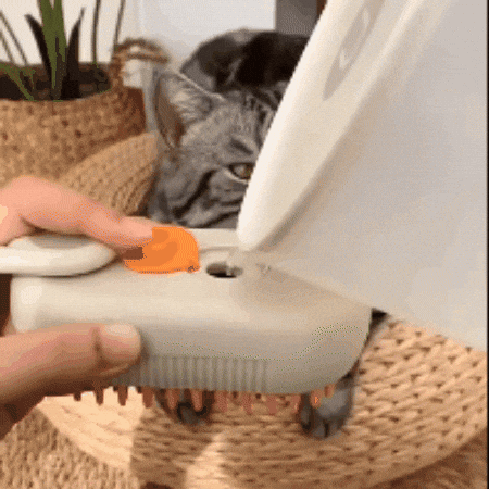 GIF animado