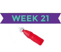 Pregnancy Baby Size Sticker by What to Expect
