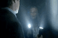 x files GIF by The X-Files