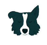Dog Border Sticker