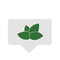 Summer Love Sticker by MONIN