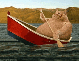 spanish project GIF