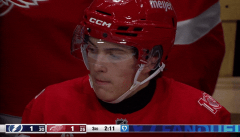 National Hockey League No GIF by NHL