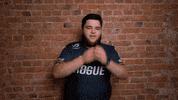 Sad Team GIF by Rogue