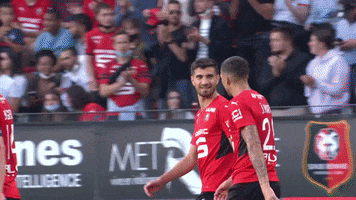 Roazhon Park Football GIF by Stade Rennais F.C.