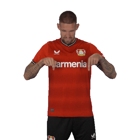 Football See Sticker by Bayer 04 Leverkusen