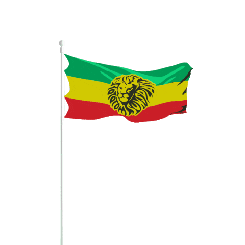 Festival Reggae Sticker by Gecky Heavy Hammer