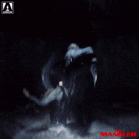 Watch Out Reaction GIF by Arrow Video