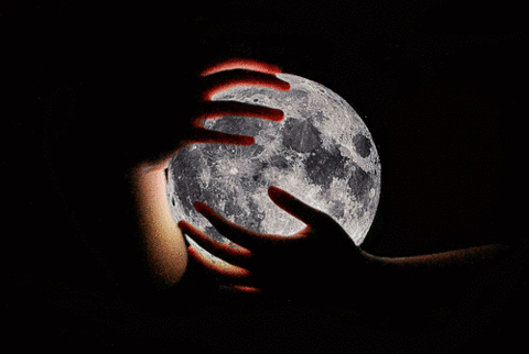 moonlight GIF