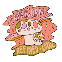 Zodiac Sign Rainbow Sticker by Doodle by Meg