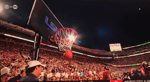 geauxtigahs718  GIF