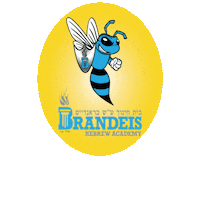 Maccabee Sticker by The Brandeis School