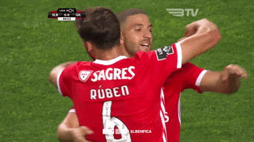 Sl Benfica Hug GIF by Sport Lisboa e Benfica