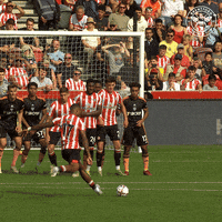 Ivan Toney Football GIF by Brentford FC