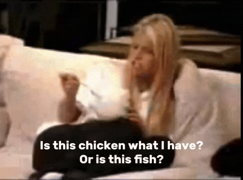 Jessica Simpson Philosophy GIF by Jess Stempel