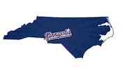 Baseball Boomer Sticker by Cannon Ballers