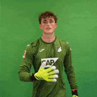 Sport Logo GIF by TSG Hoffenheim