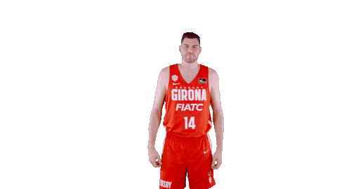 Vamos Lets Go Sticker by ACB