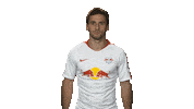 rb leipzig Sticker by Bundesliga