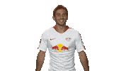 rb leipzig Sticker by Bundesliga