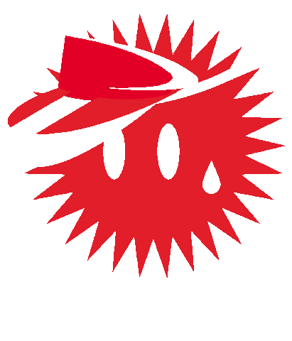 STEIBISONNE giphyupload sommer sonne winterthur Sticker