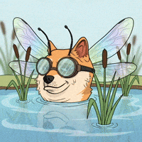 Shiba Inu Swimming GIF by Doge Pound