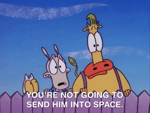 rockos modern life nicksplat GIF